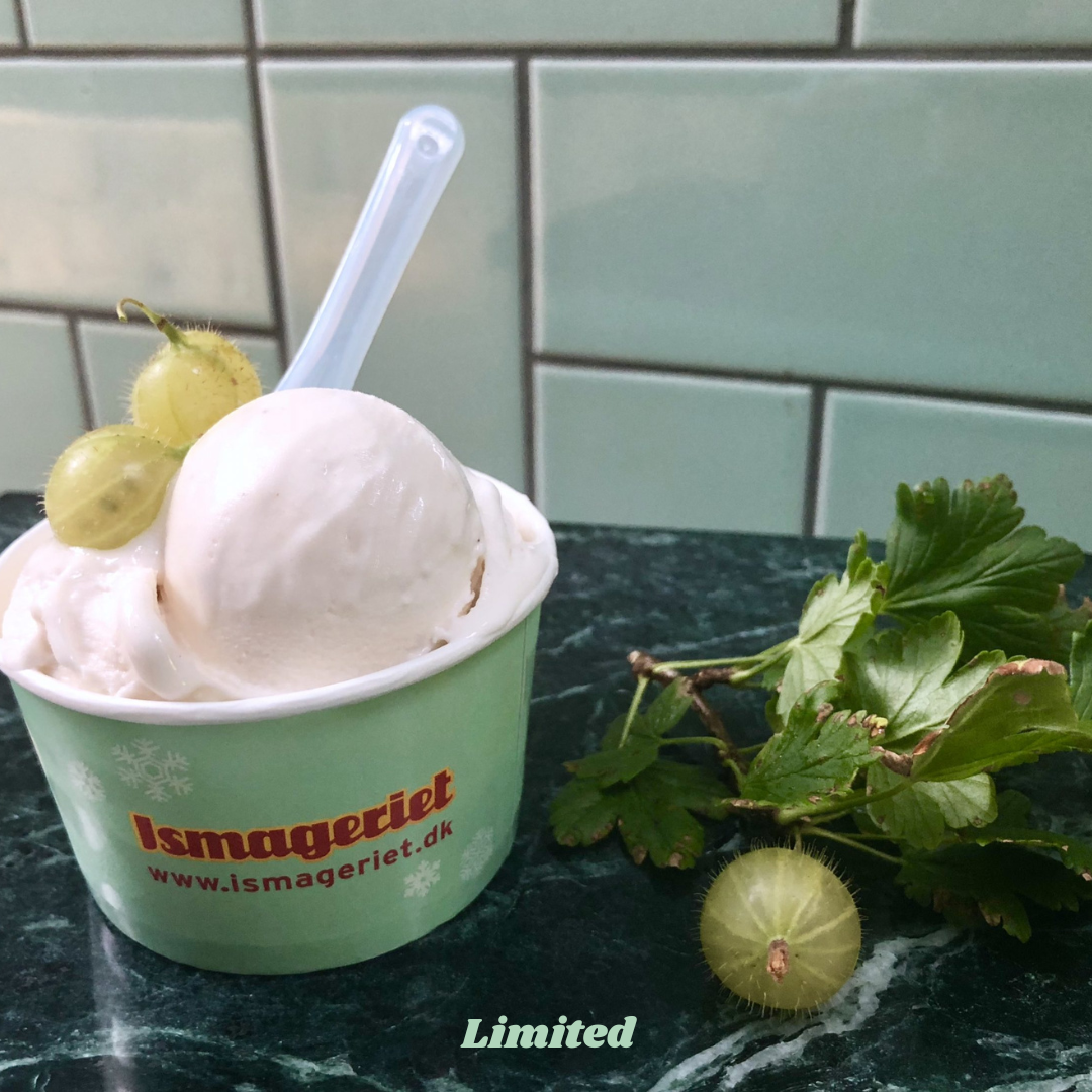 Stikkelsbær sorbet